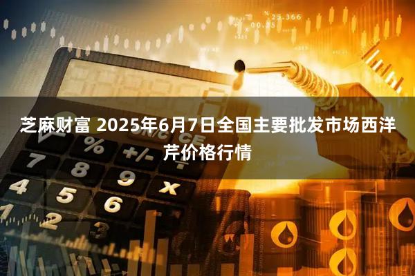 芝麻财富 2025年6月7日全国主要批发市场西洋芹价格行情