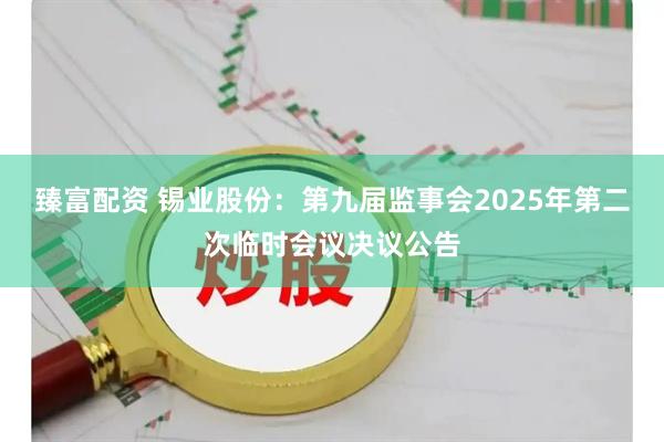 臻富配资 锡业股份：第九届监事会2025年第二次临时会议决议公告
