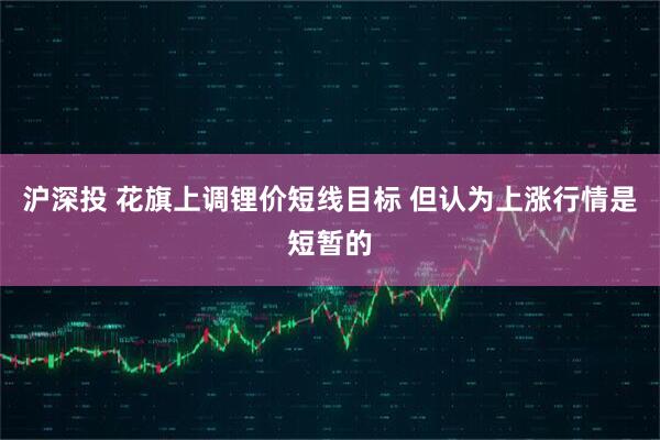 沪深投 花旗上调锂价短线目标 但认为上涨行情是短暂的