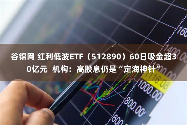 谷锦网 红利低波ETF（512890）60日吸金超30亿元  机构：高股息仍是“定海神针”