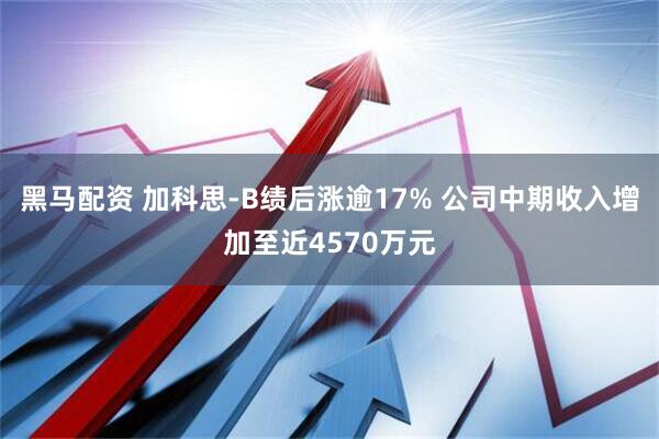黑马配资 加科思-B绩后涨逾17% 公司中期收入增加至近4570万元