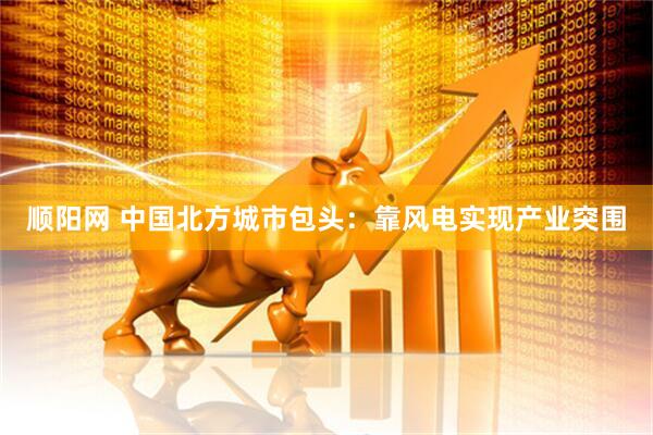 顺阳网 中国北方城市包头：靠风电实现产业突围