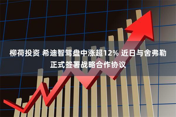 柳荷投资 希迪智驾盘中涨超12% 近日与舍弗勒正式签署战略合作协议