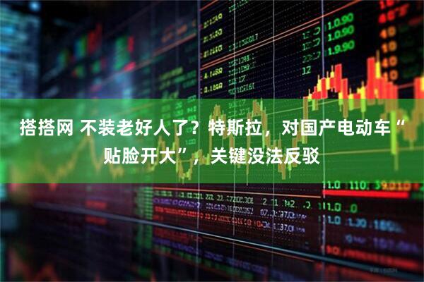 搭搭网 不装老好人了？特斯拉，对国产电动车“贴脸开大”，关键没法反驳